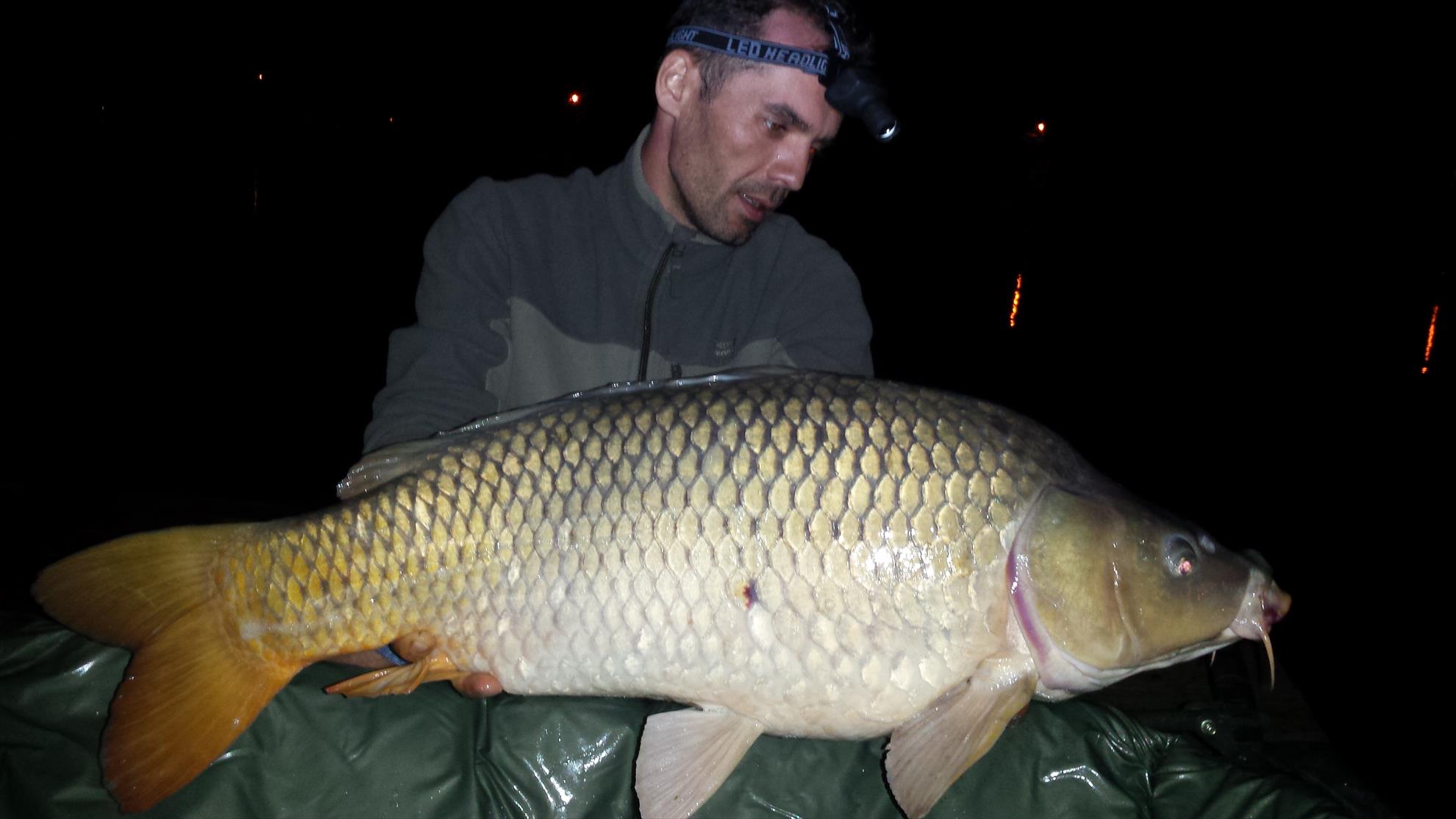 Hermes Peris 25 - 27 septembrie 2015 - 20150926010531.jpg